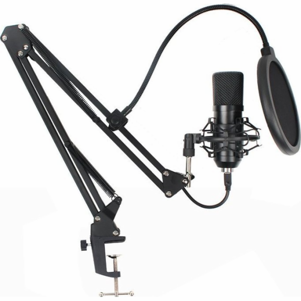 NoName Mikrofon AC-03