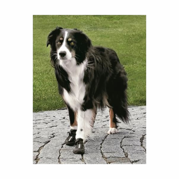 Trixie Bezpečnostní obuv pro psy Trixie Walker Active Pai...