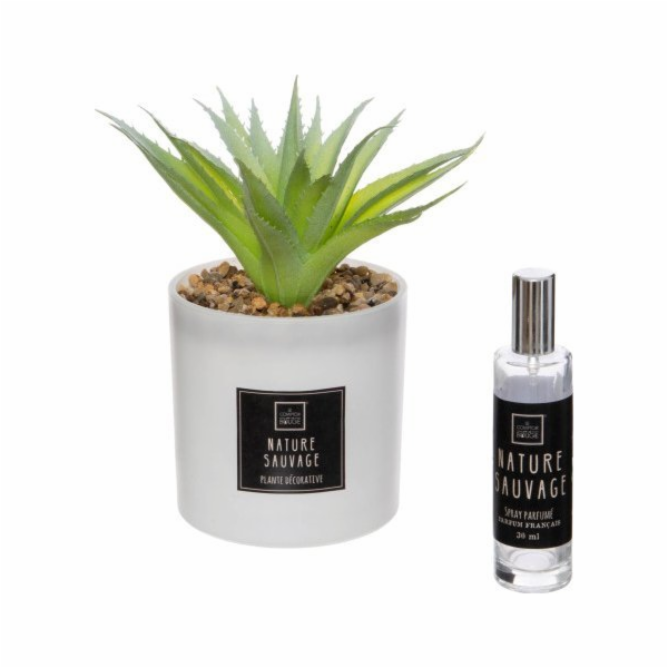 Atmosphera Umělá rostlina s vonným olejem NATURA SAUVAGE