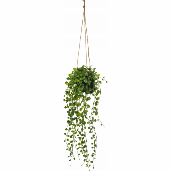 Atmosphera Umělá závěsná rostlina Peperomia, O 18 x 62 cm