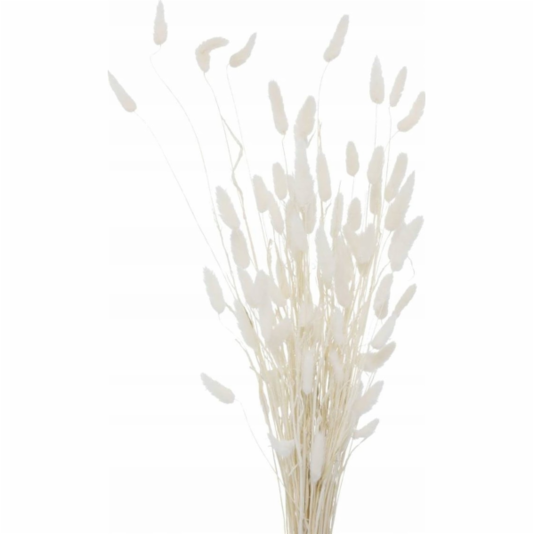 Boltze Dekorativní větvičky do vázy, sušené, 70 cm