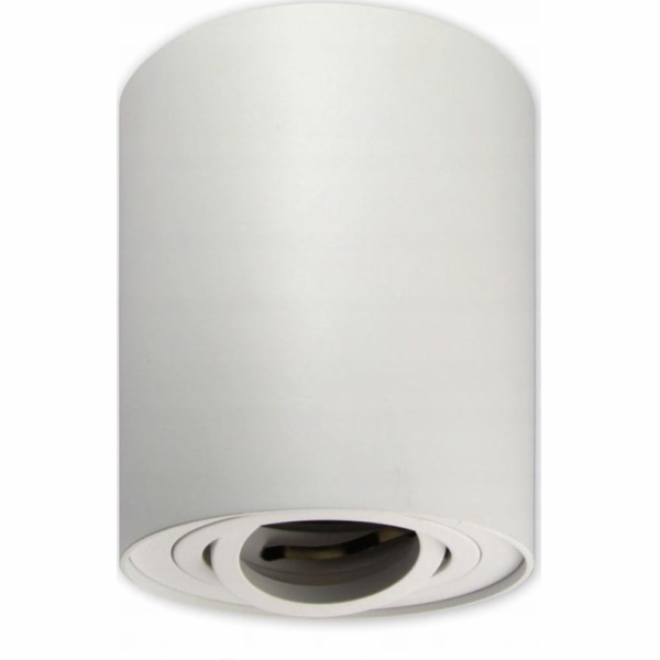 Master LED Stropní svítidlo Devo, směrová trubice, 1xGU10...
