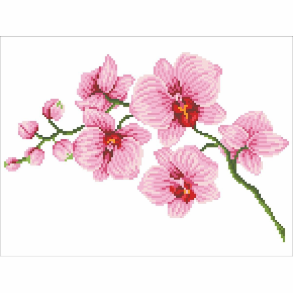 DIAMOND DOTZ Diamantová výšivka Diamond Dotz Orchidej 49x...