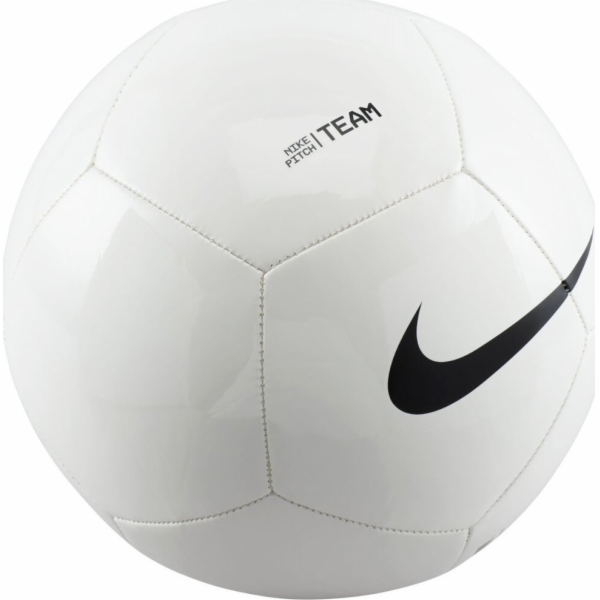 Nike Fotbalové kopačky Pitch Team bílé FZ7553 100 5
