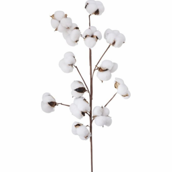 Boltze Umělá bavlníková větev, 68 cm