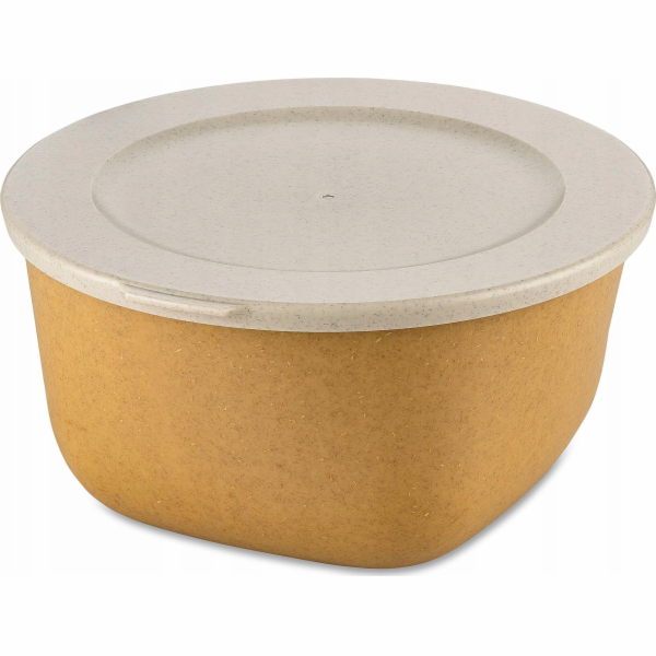 Koziol Dóza na potraviny CONCEPT, vzduchotěsná, 2 l, KOZIOL