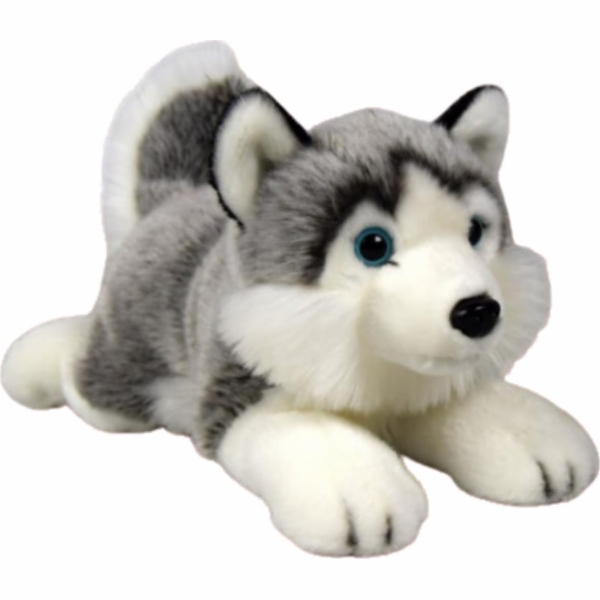 Dubi Maskot pes husky ležící plyšový 34cm měkký mazlivý pes