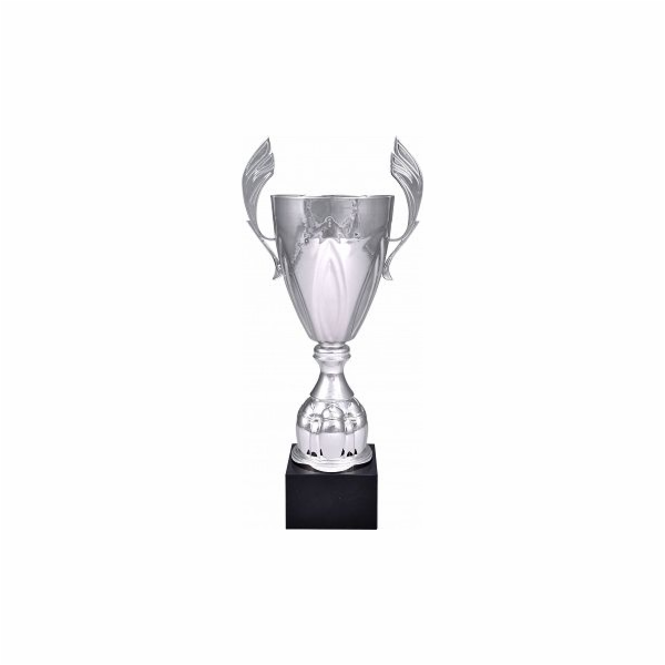 Victoria Sport Sportovní hrnek Victoria, kovový stříbrný ...