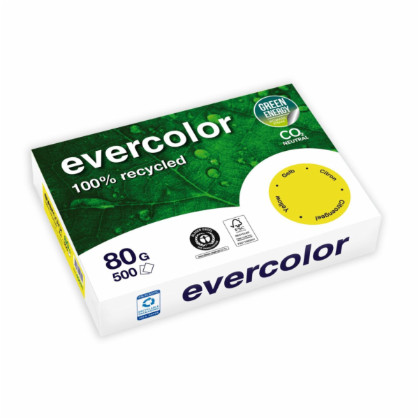 Clairefontaine EverColor grün Recyclingpapier A 4 80 g 50...