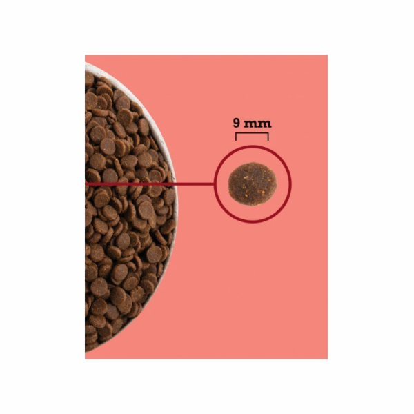 ACANA Highest Protein Indoor Cat - suché krmivo pro kočky...