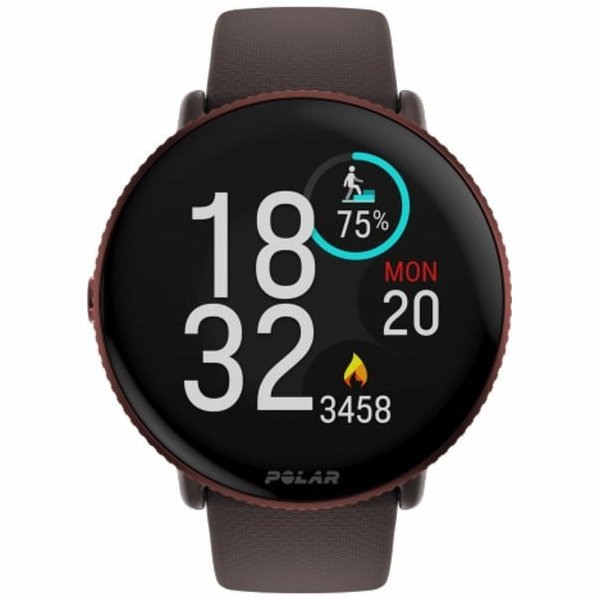 Polar Sportovní hodinky Ignite 3 Titanium Brown (IGNITE 3...