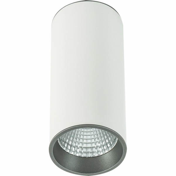 Italux Moldes Big WH/GR Stropní svítidlo 3000K SLC7392/12...