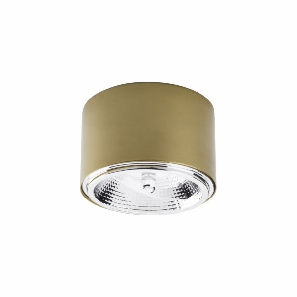 Stropní svítidlo TK Lighting Spot MORIS 3349