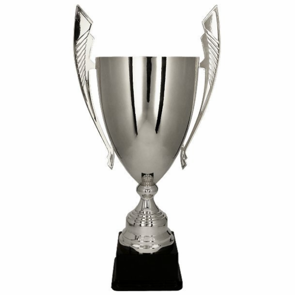 Victoria Sport Cup Metal Silver