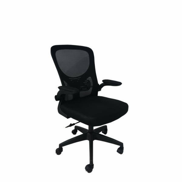 Kancelářská židle Domoletti, černá DR-OC-0416
