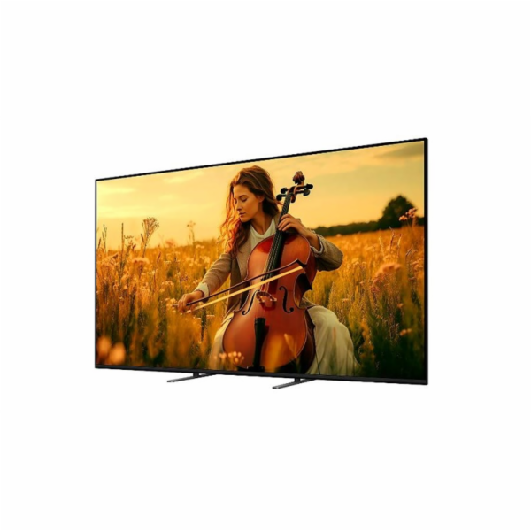 Televize SONY K65XR55B