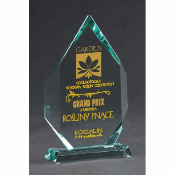 Victoria Sport Skleněná trofej s rytím a pouzdrem + výplň...