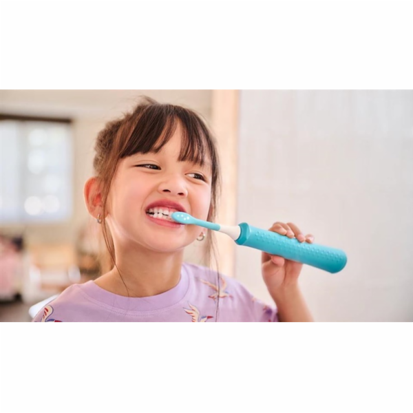 PHILIPS Hlavice zubního kartáčku HX6042/90, modrobílá