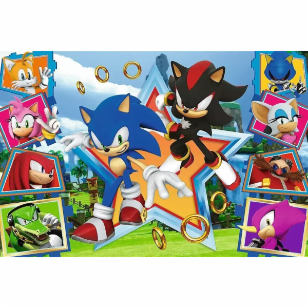 Trefl Puzzle 100 dílků Seznamte se se Sonicem Sonic