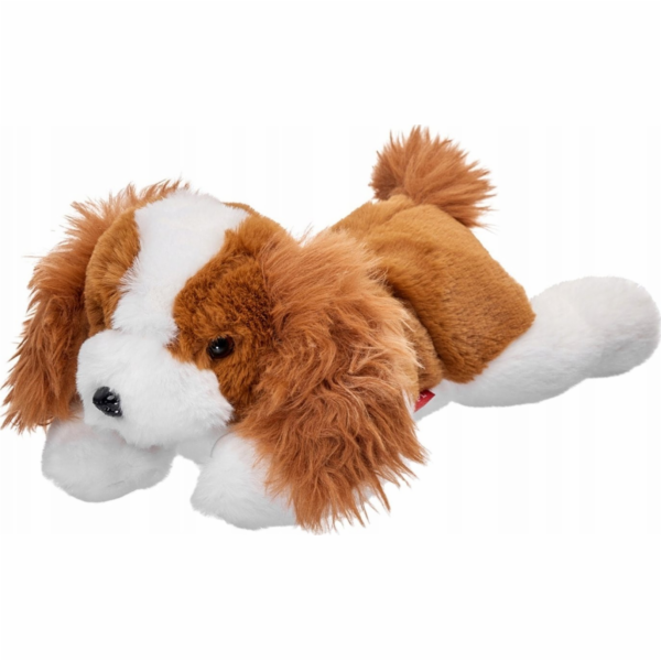 Beppe Maskot psa kavalírského plemene ležící 35 cm