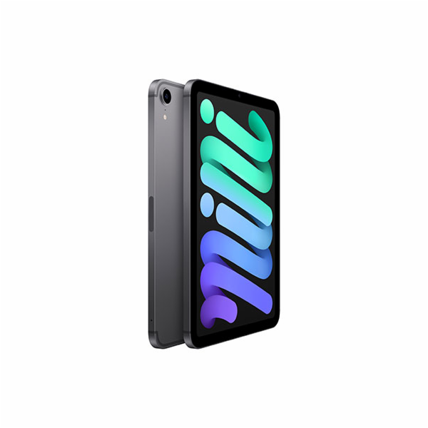 iPad mini Wi-Fi + Cellular 256 GB – vesmírně šedý