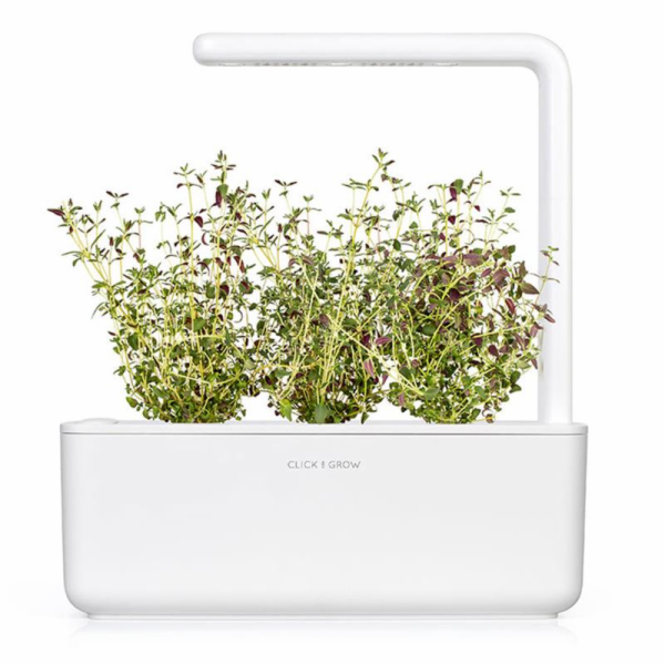 Smart Garden Tymián