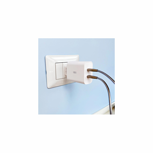 Aiino - Twins Dual USB-C wall charger (40W)