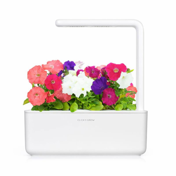 Smart Garden Petunie