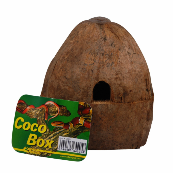 Lucky Reptile Coco Box cca 15x14x16 cm