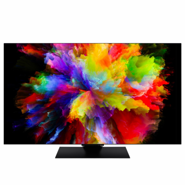 Panasonic TV-65Z80AEZ schwarz