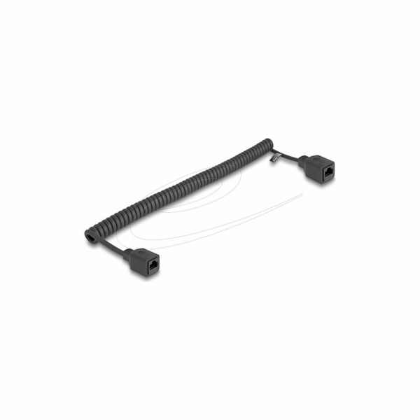 Delock - Sítový prodlužovací kabel - RJ-45 (F) do RJ-45 (...