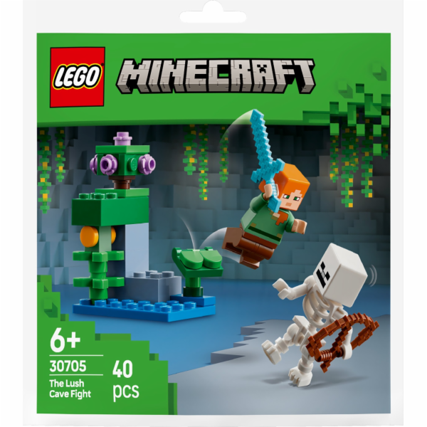 LEGO MINECRAFT 30705 Boj ve svěží jeskyni