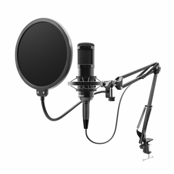 Mikrofon Niceboy VOICE Handle 