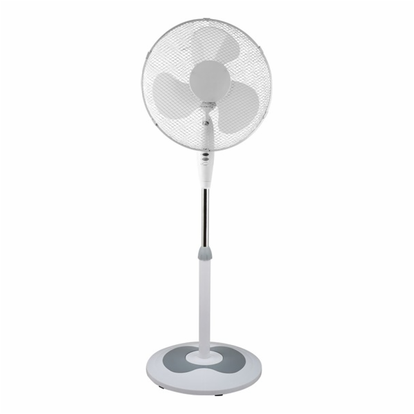 ECG FS 40a RB White