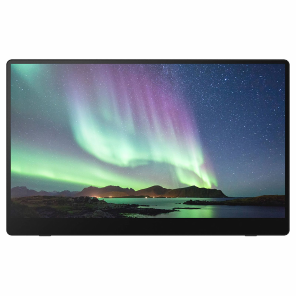 Ricoh 150 Mobiler OLED-Monitor mit Touchscreen