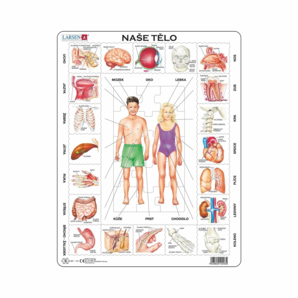 Larsen Vzdělávací puzzle Naše tělo 35 dílků