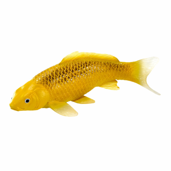 Mojo Kapr koi kin matsuba