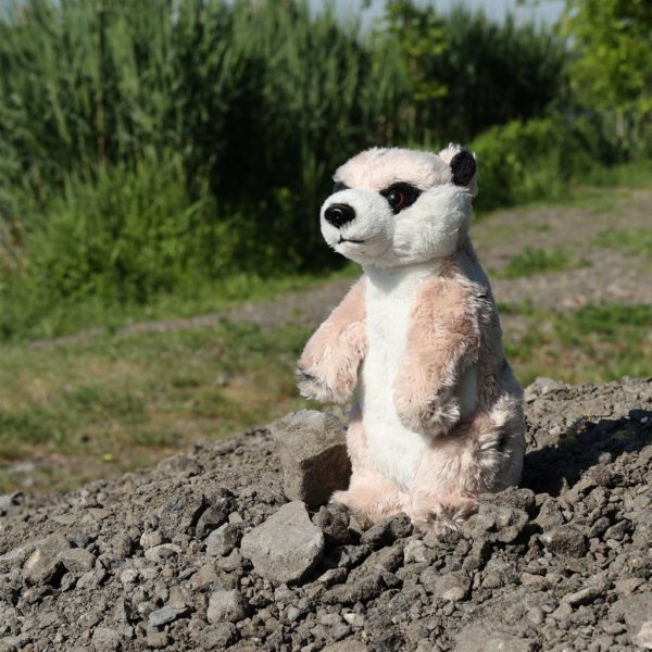 Rappa Plyšová surikata stojící 14 cm ECO-FRIENDLY