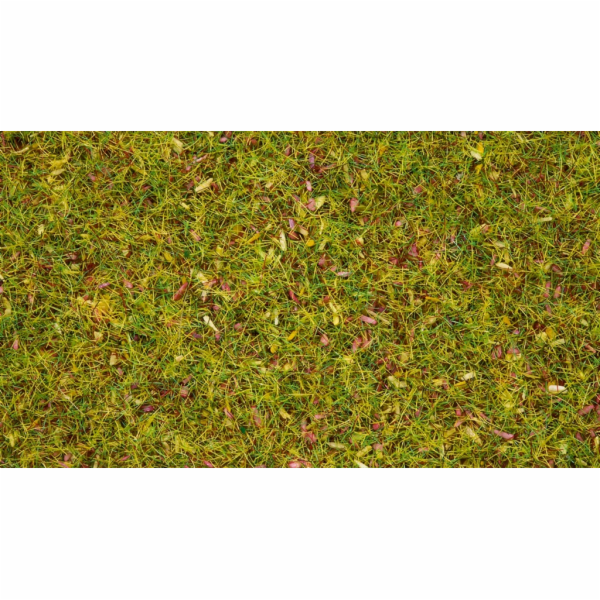 Noch Statická tráva Kvetoucí louka 2,5 mm