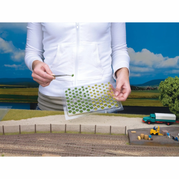 Noch ravní trs kvetoucí sada 104 ks