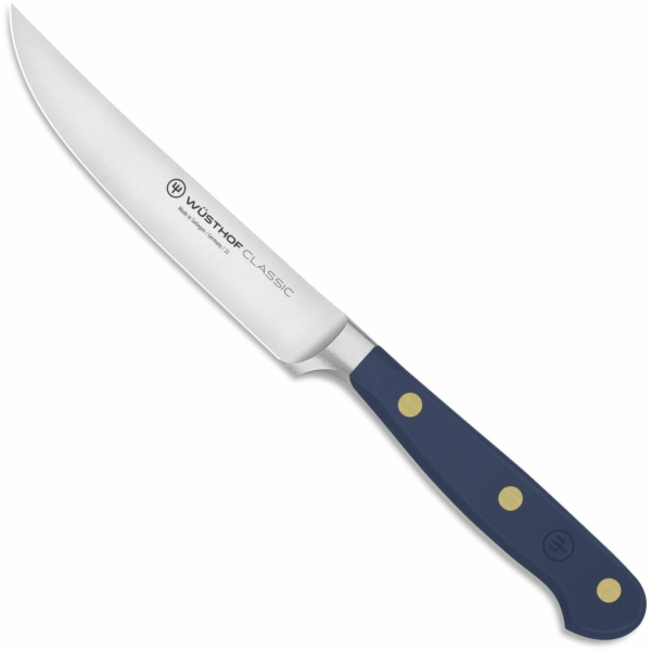 TOGO KLASICKÁ BARVA Steakový nůž 12/22,9 cm modrý