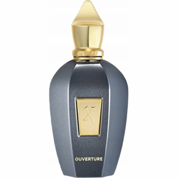 Xerjoff XERJOFF Ouverture EDP sprej 100ml