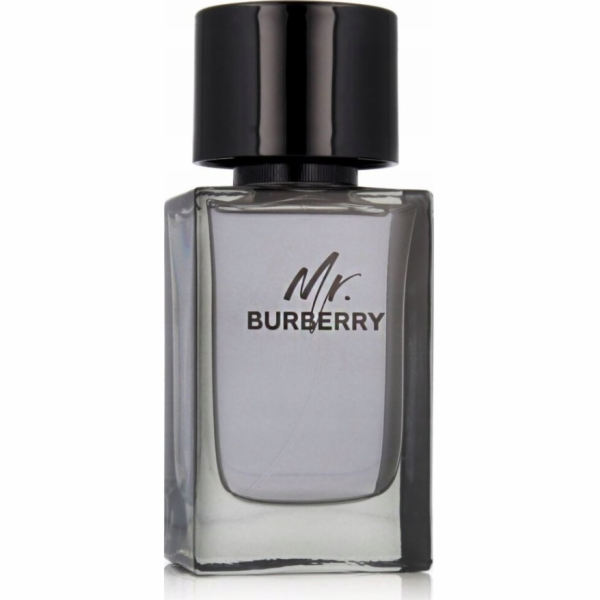 Alkotest BURBERRY Mr. breathalyzer Burberry EDT sprej 100ml