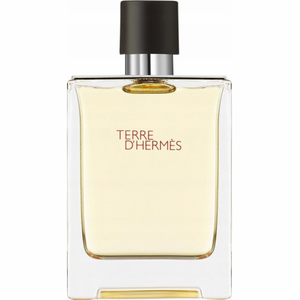 Hermes Terre D'hermes toaletní voda Purškiklis 100ml