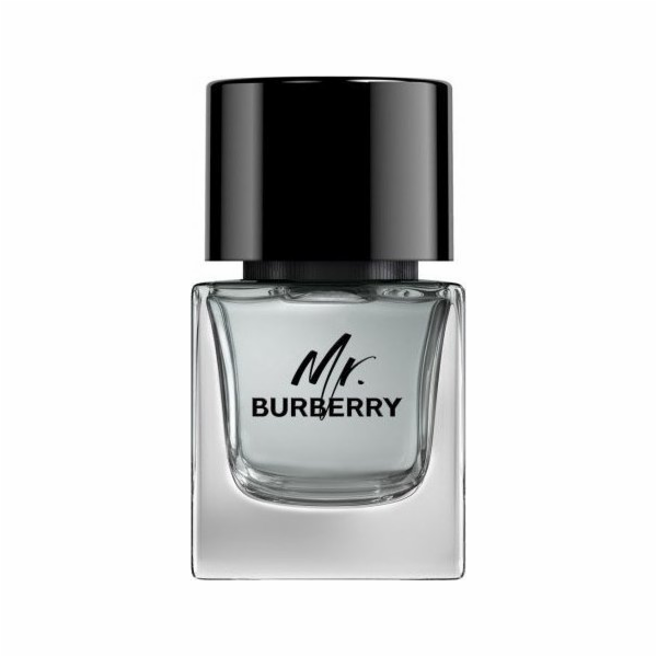 Burberry BURBERRY Mr. Burberry EDT sprej 50ml