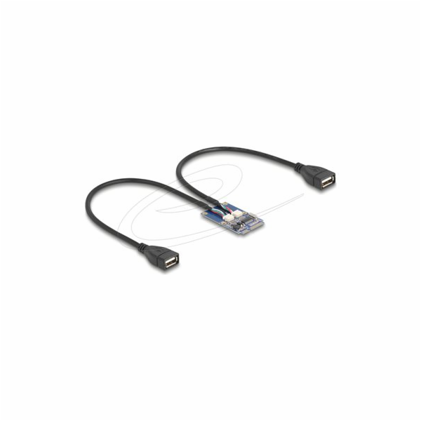 Delock - USB adaptér - PCIe Mini Card - USB 2.0 x 2