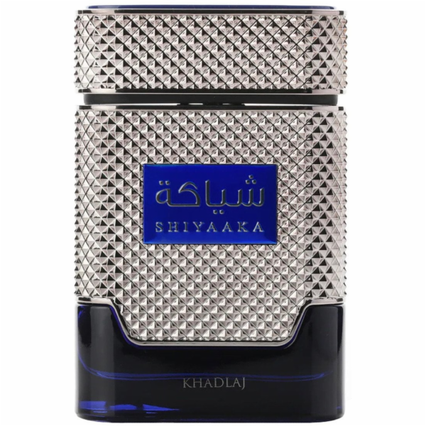Versace Khadlaj Shiyaaka Blue parfémovaná voda pro muže 1...