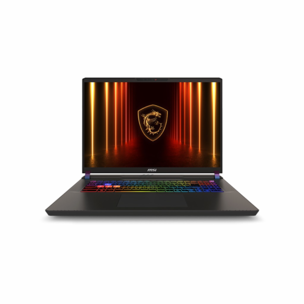 MSI Vector/17 HX AI A2XWHG-035CZ/U9-275HX/17"/2560x1600/3...