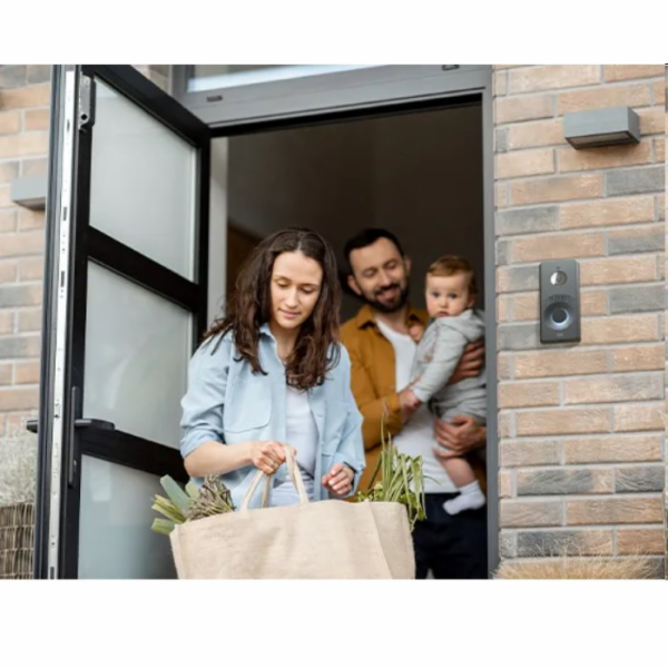 2N® IP One  - základní jednotka, bronze