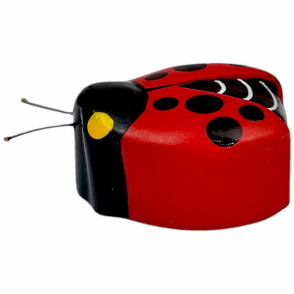 2Kids Toys Dřevěná magnetka velká Beruška